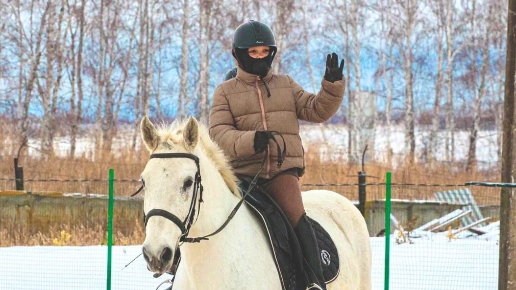 контакт между людьми и лошадьми