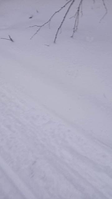 VID-20250127-WA0000.mp4