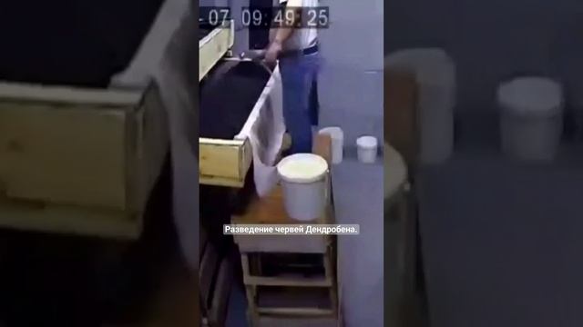 Будни вермера.2 часть.