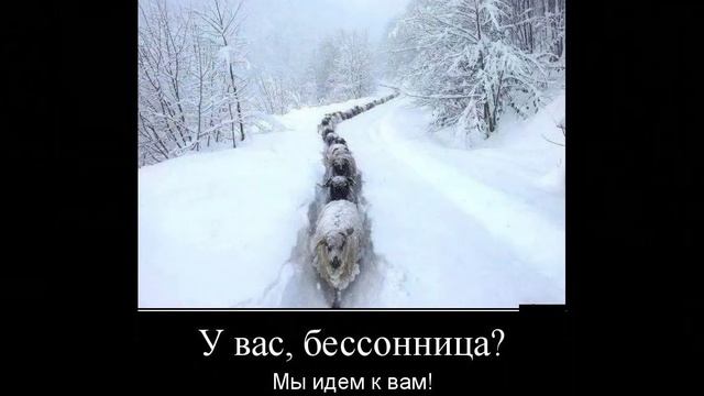 Зимние забавы  с юмором  и... почти серьезно 2. 107а