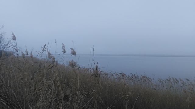 VID_20250127_131914.mp4