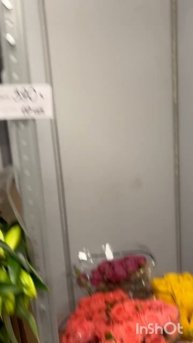27.01 наличие Зеленый опт