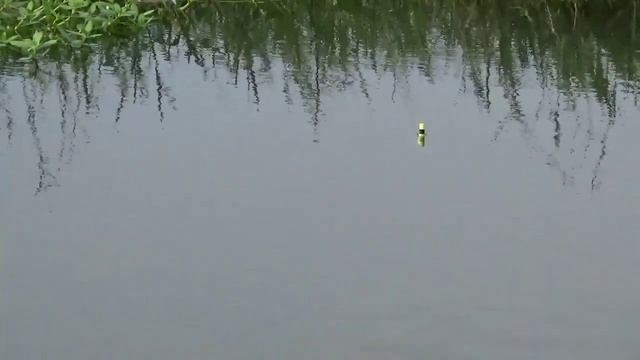 Ikan di spot ini gak ada habisnya