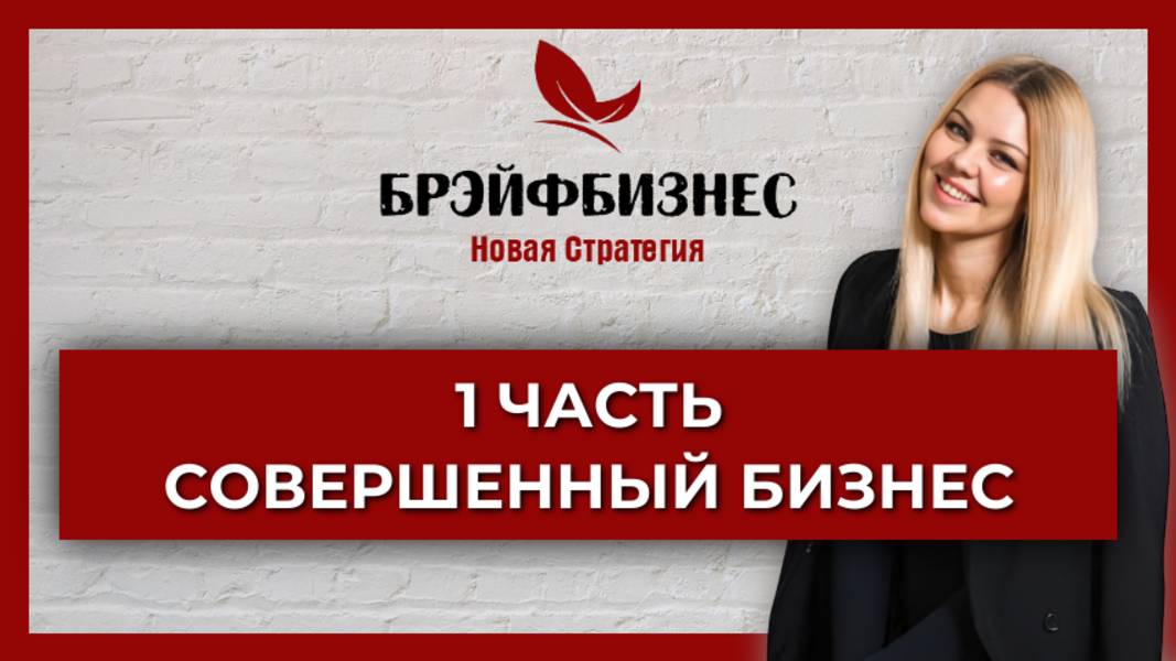 Брэйфбизнес | 1 часть. Совершенный бизнес