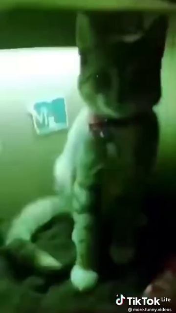 1000015149.mp4