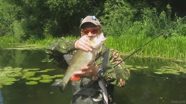 Голавль на TSURIBITO Dead Minnow