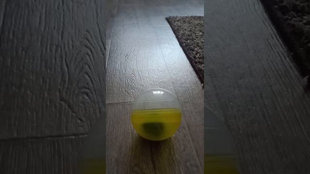 хомяк