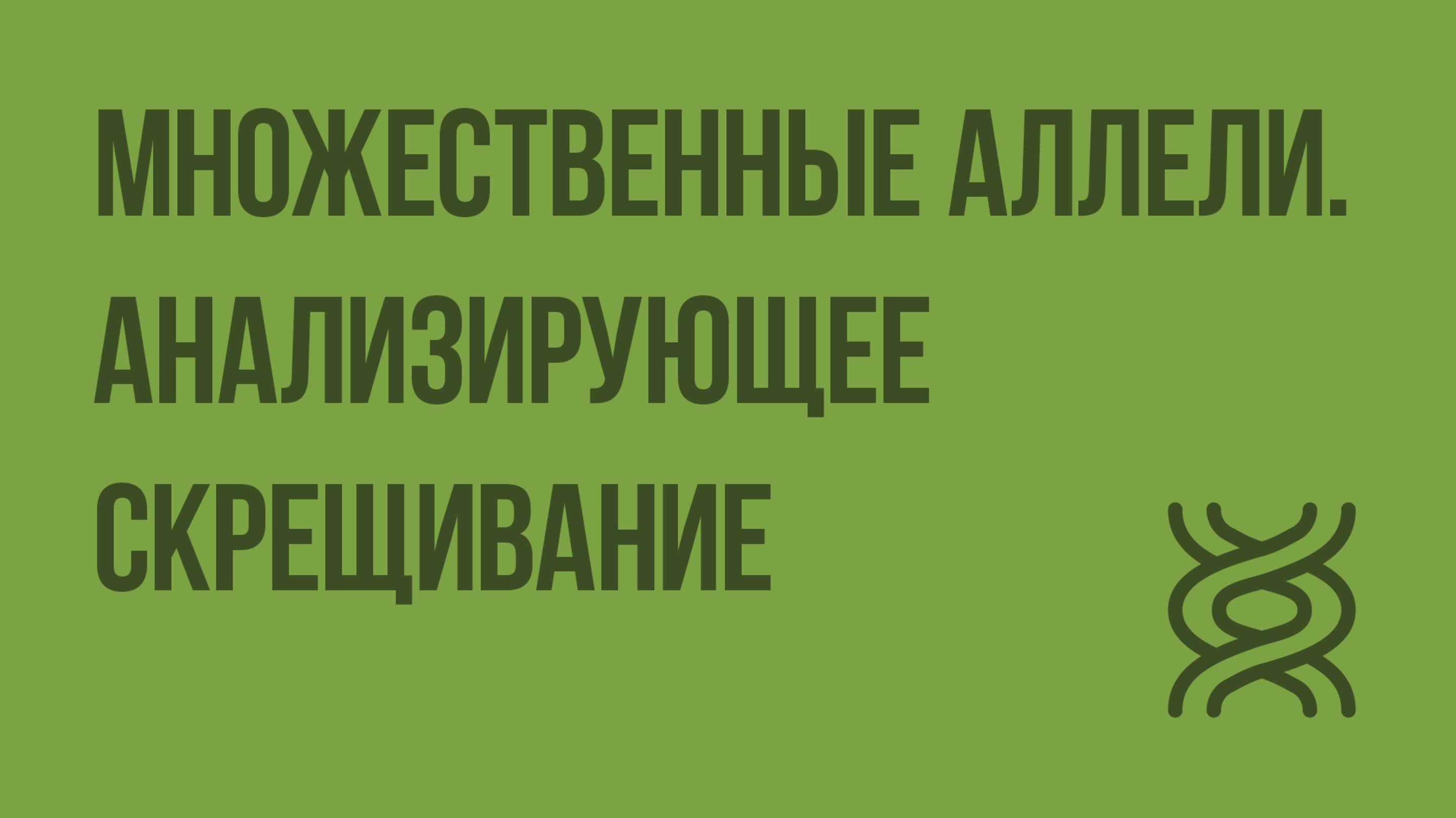 Множественные аллели. Анализирующее скрещивание. Видеоурок по биологии 10 класс