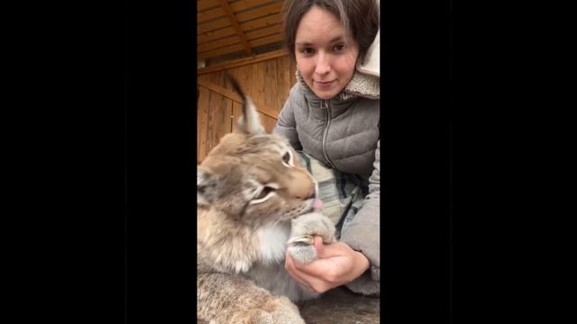 Прекрасна и опасна