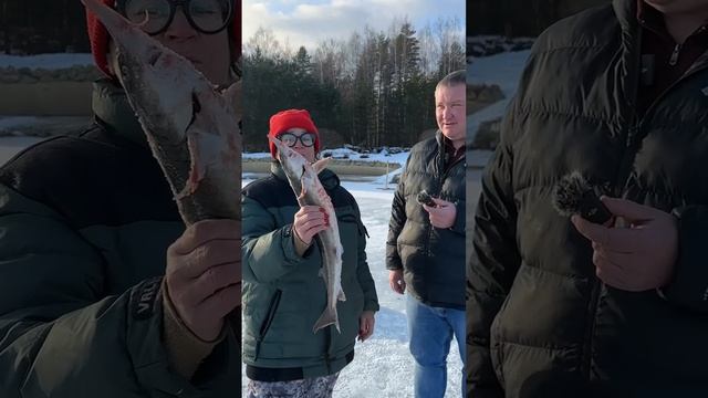 Отзыв о зимней рыбалке в загородном клубе Ихтиолог.