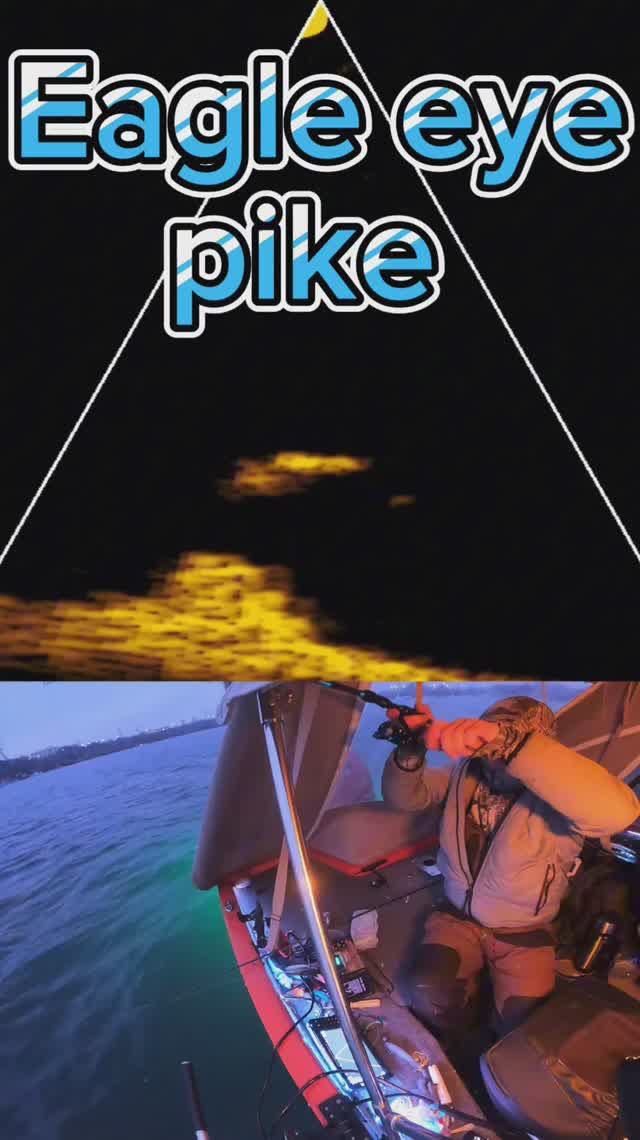 Fishing pike lowrance eagle eye #lowrance #eagleEye #panoptix #fishing