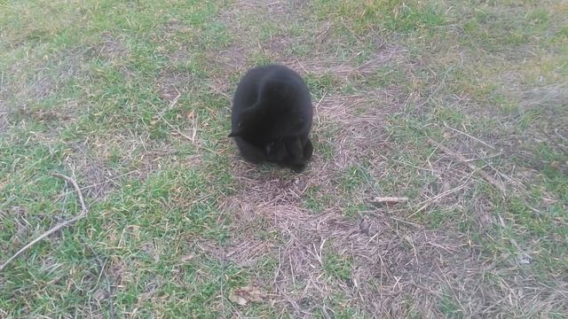 VID_20250127_131745.mp4