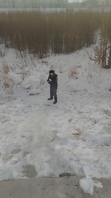 Вани понизу идут 3