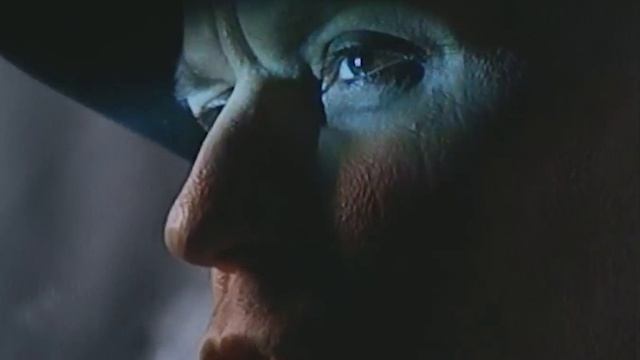 CHRIS HARMS - She Called Me Diaval