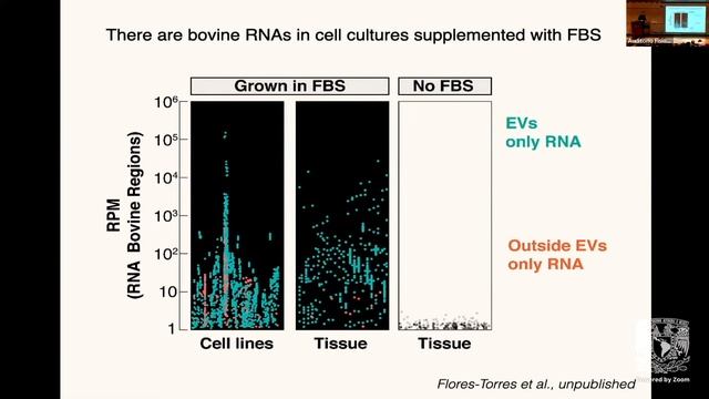 Entre la semejanza y la singularidad: El desafío de la identificación de microRNA en cultivo celula