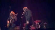 SAVOY BROWN - I want to put a tiger in your tank