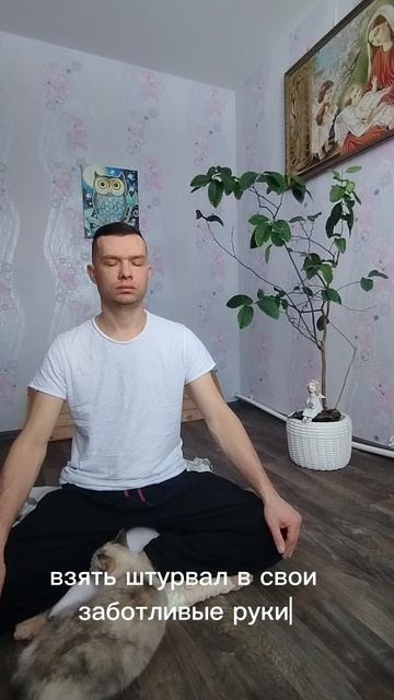 твой мозг гоночный болид