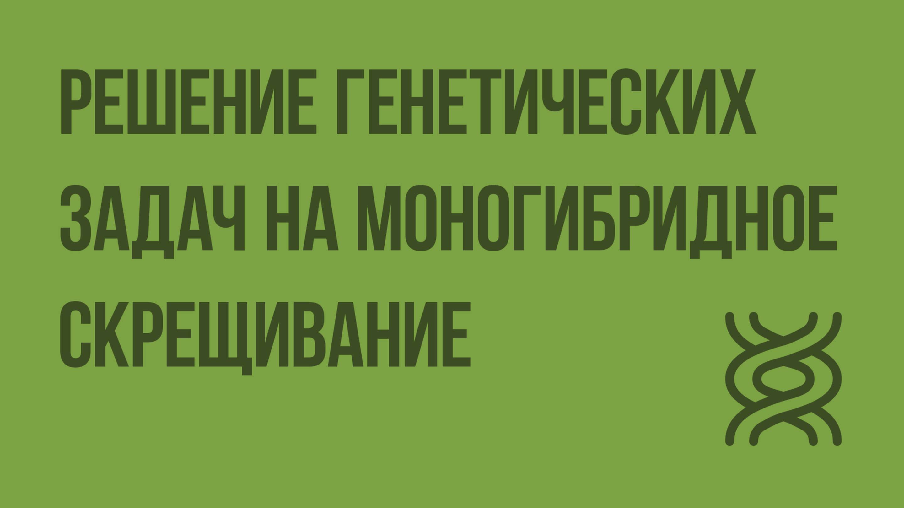 Решение генетических задач на моногибридное скрещивание. Видеоурок по биологии 10 класс