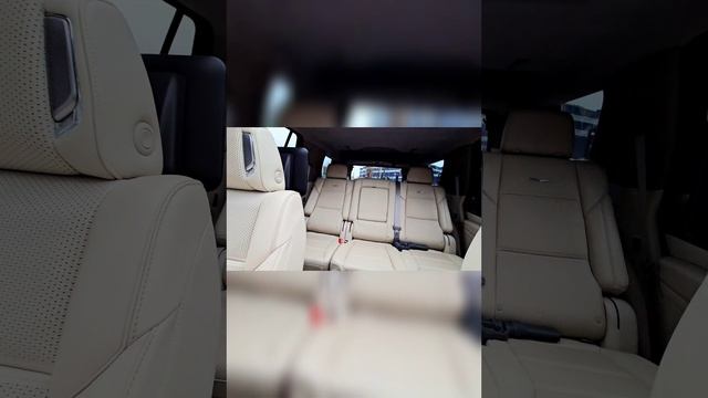 1000236552.mp4