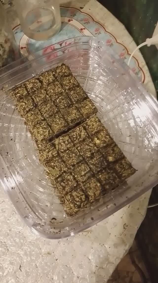 ЧАЙ АНТИСТРЕСС