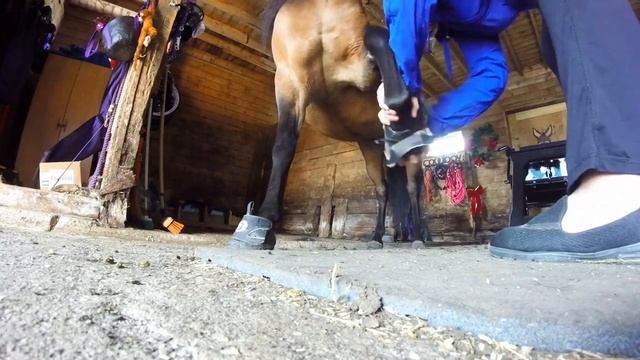 putting on boots