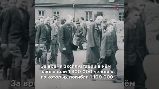 Сходка в Освенциме! 80-летие освобождения концлагеря в Польше отмечают без русских