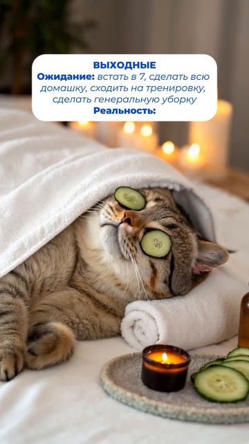 Как прошли выходные? 😋
Запишитесь на бесплатное пробное занятие в SHKOLA уже сейчас