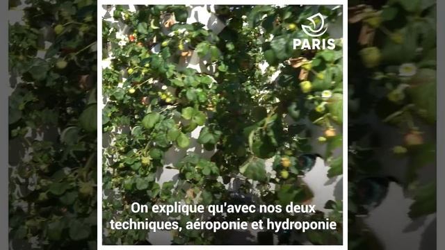 Visite guidée de la ferme urbaine de Paris-Expo