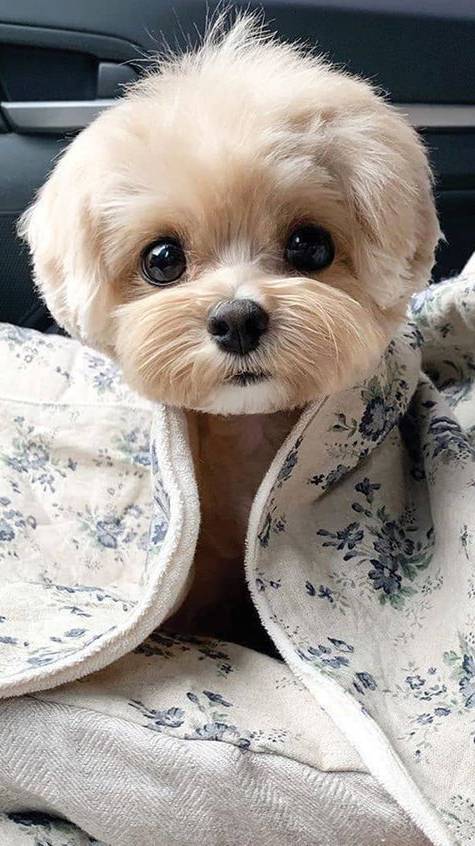 Когда хочется спать ^_^