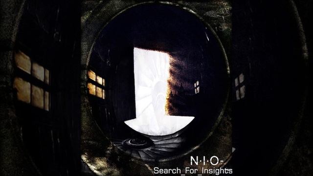 03 N.I.O - Search for Insight