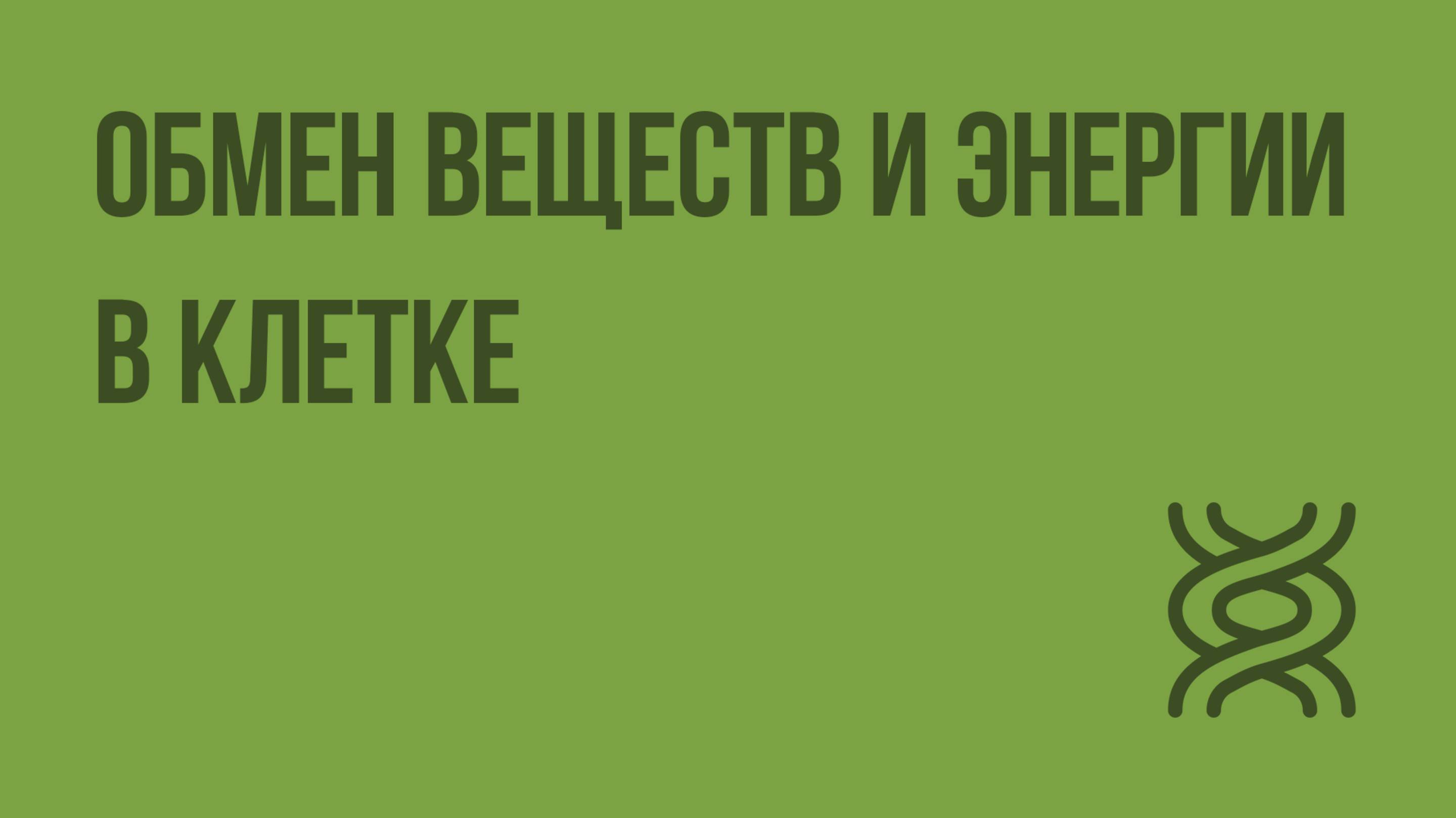 Обмен веществ и энергии в клетке. Видеоурок по биологии 10 класс