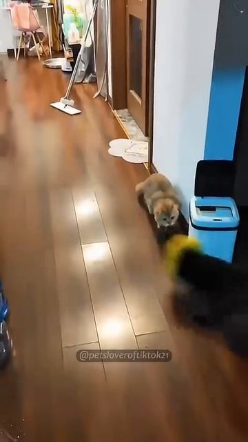 1000072440.mp4