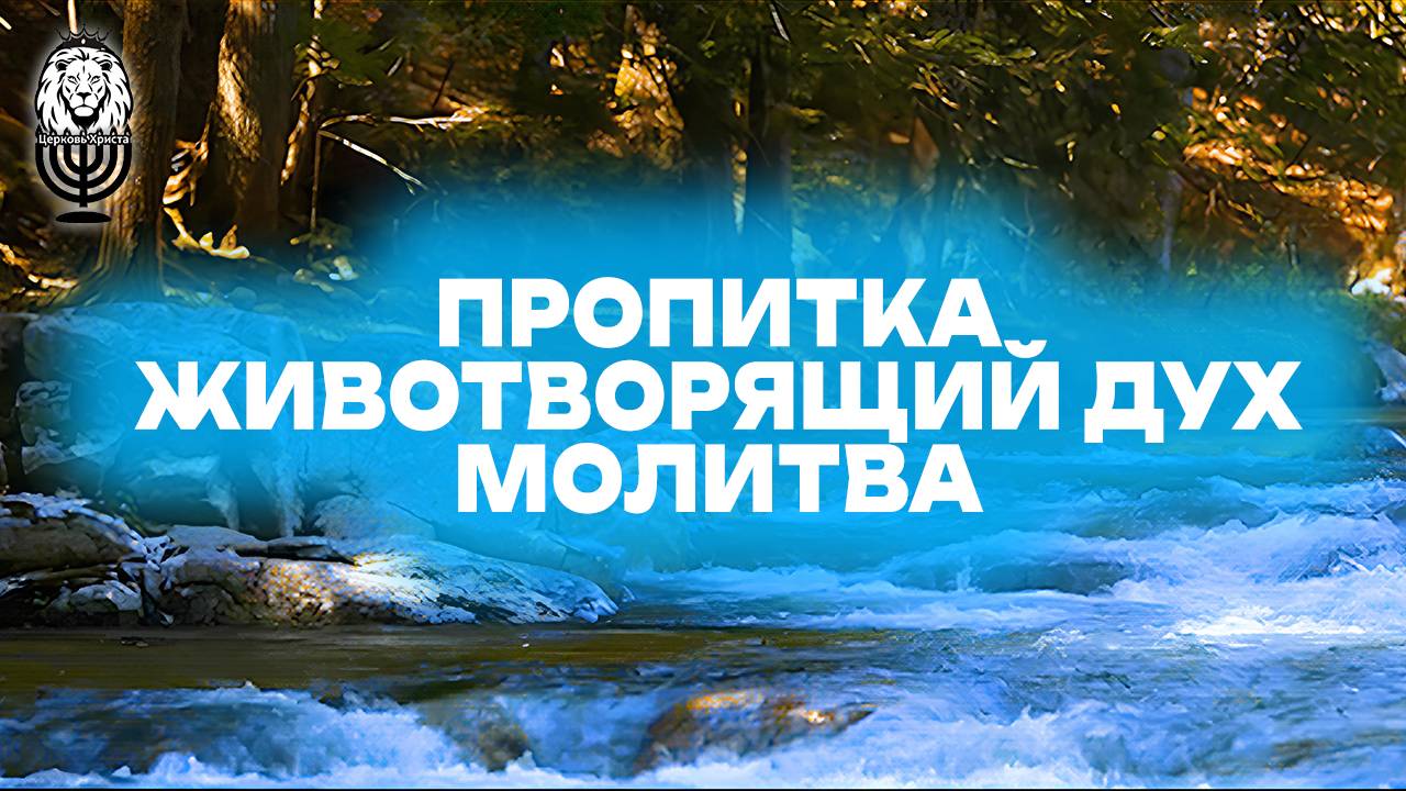 ПРОПИТКА ЖИВОТВОРЯЩИЙ ДУХ | МОЛИТВА