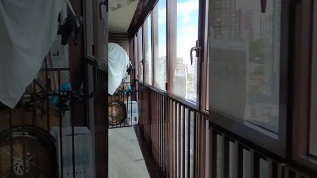 Видео 2