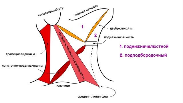 ТРЕУГОЛЬНИКИ ШЕИ ЗА 2 МИНУТЫ