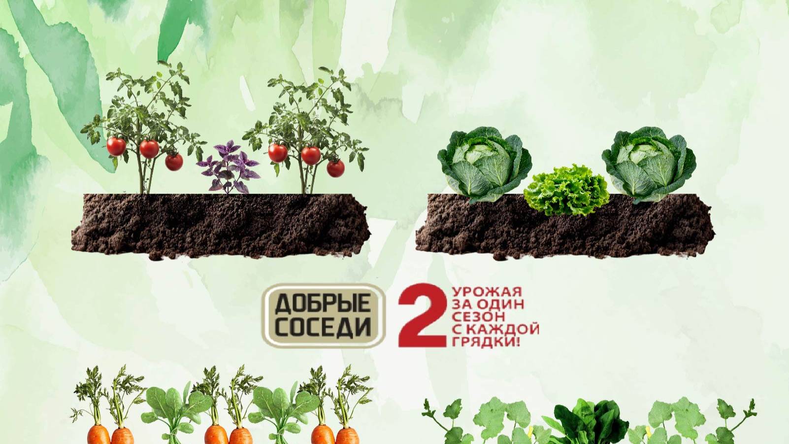 инфографика, первая работа