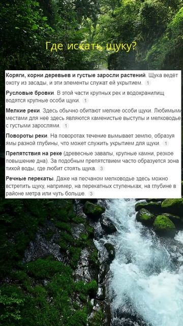 Где искать щуку?