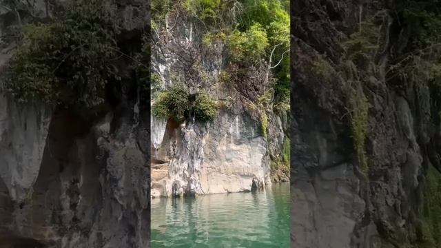 1000001167.mp4