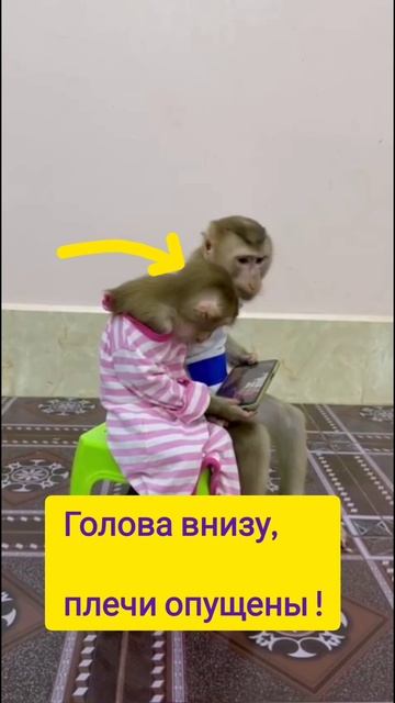 внимание .mp4