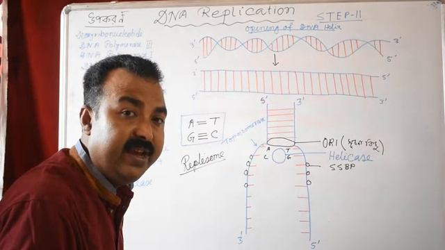 class 12 biology unit -2 chapter - 6 part - 7, DNA REPLICATION