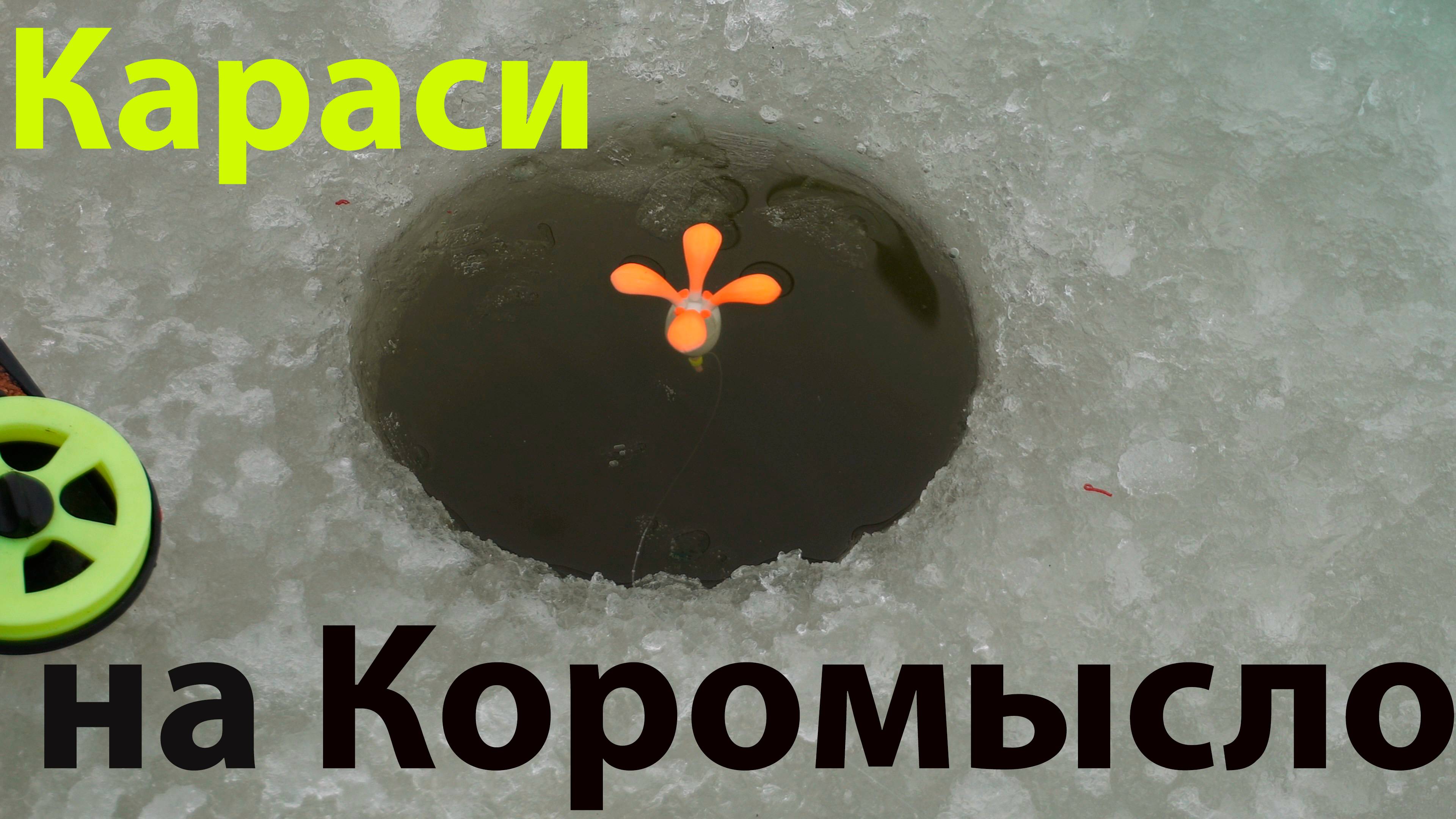 Зимний Карась клюет на Коромысло на Бесплатном пруду #рыбалка2025 #33карася #рыбалка2024
