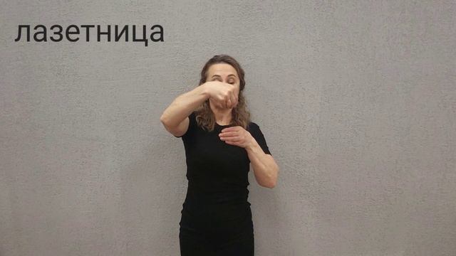 лазетница