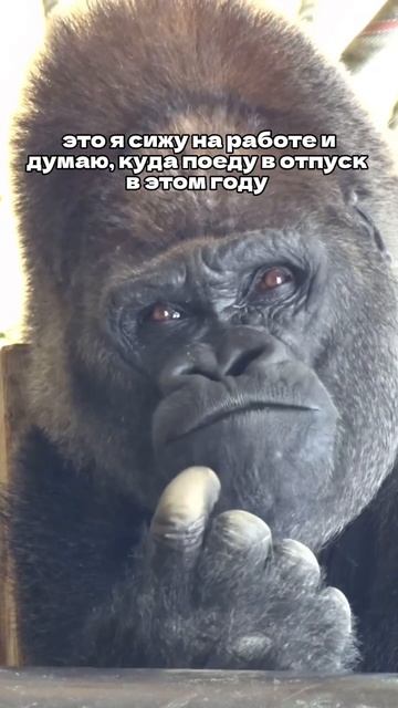 Работаем, но мыслями уже пакуем чемоданы🧳GetHotel.ru знает, куда нас отправить в отпуск✈️