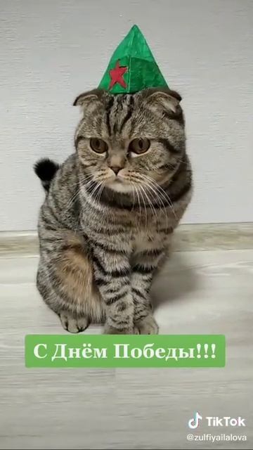День победы!