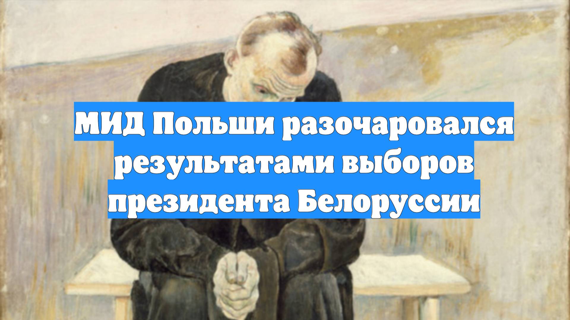 МИД Польши разочаровался результатами выборов президента Белоруссии