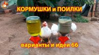 Кормушки и поилки для кур своими руками (66) 🪚✂️ Пошаговая инструкция как сделать 🐔 🐓❣️