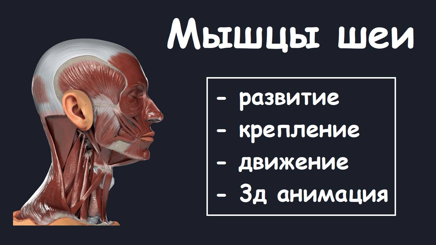 МЫШЦЫ ШЕИ ЗА 10 МИНУТ