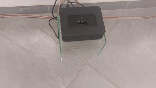 Dantax Albatross 1 и Bluesound Powernode 2i.