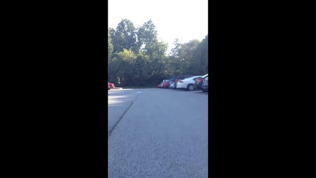 A Day in the Life of the Jetta