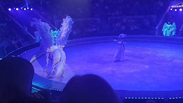 1000110822.mp4